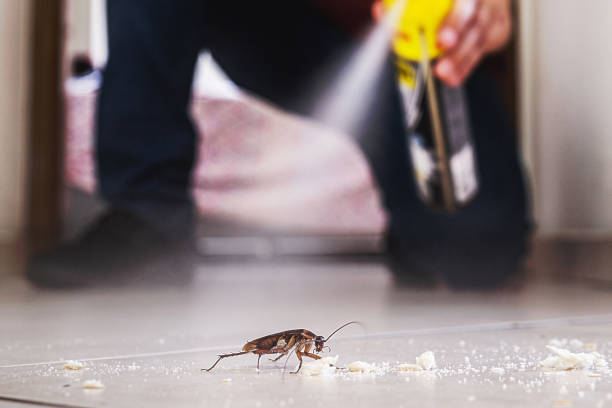 Best Commercial Pest Control Services  in , DE