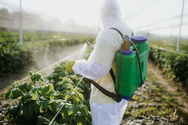 Best Exterminator Services  in , DE